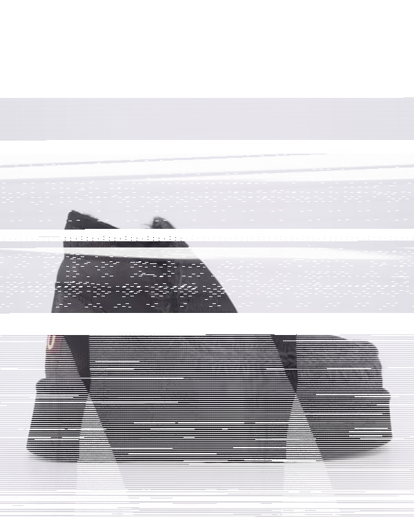 Dames Mini Eskimo Platform Black