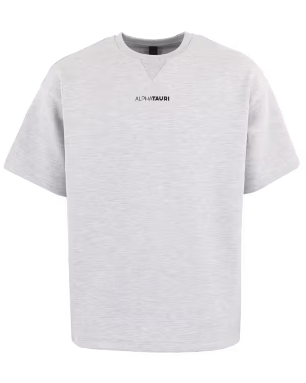 Heren JAHEV T-shirt Gray